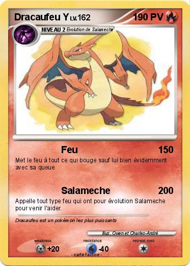 Pokemon Dracaufeu Y