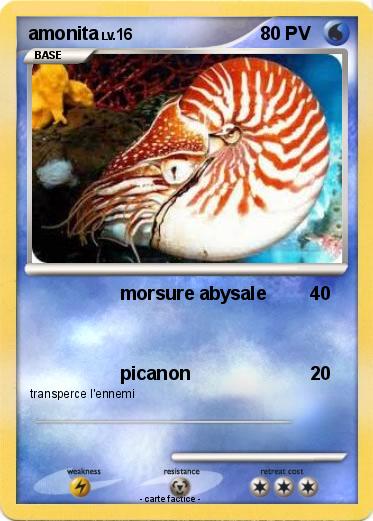 Pokemon amonita