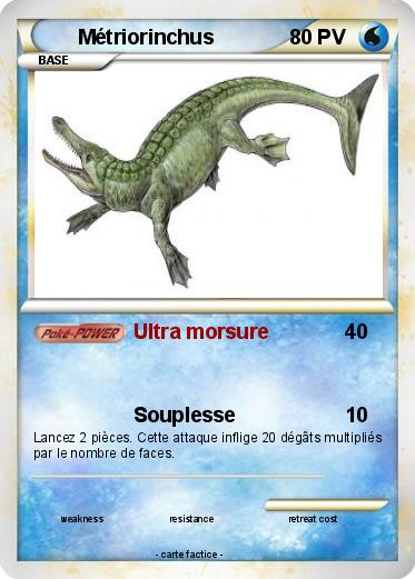 Pokemon Métriorinchus