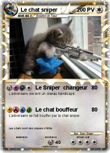 Pokemon Le chat sniper