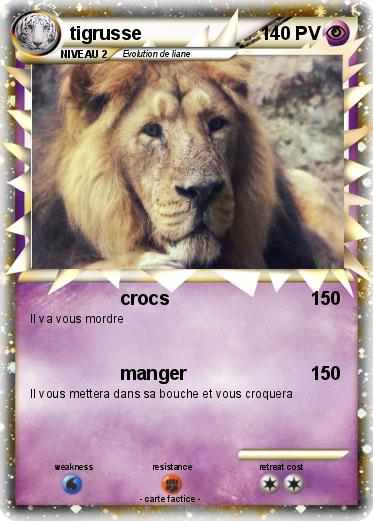 Pokemon tigrusse