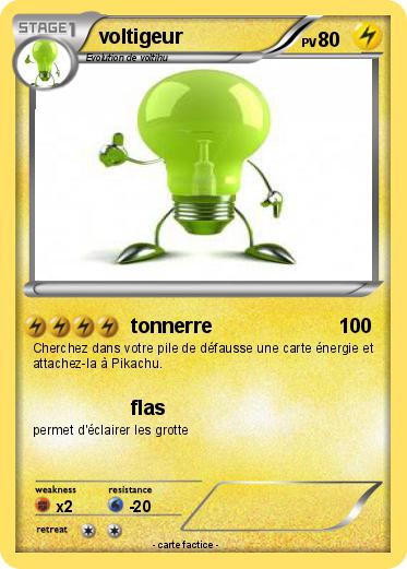 Pokemon voltigeur