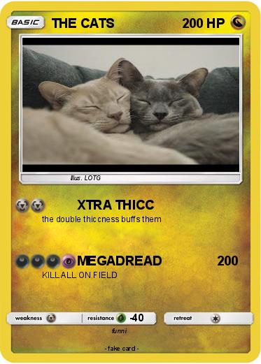 Pokemon THE CATS