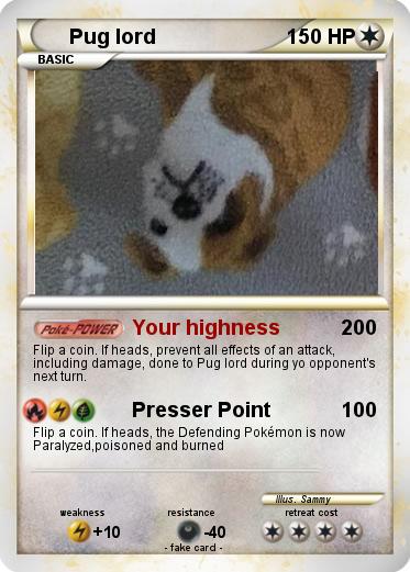 Pokemon Pug lord