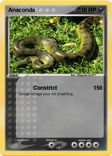 Pokemon Anaconda