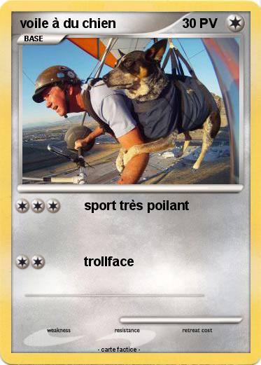 Pokemon voile à du chien