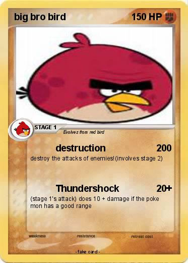 Pokemon big bro bird