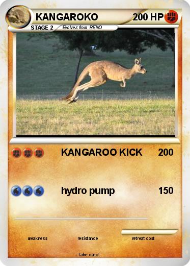 Pokemon KANGAROKO