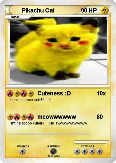 Pokemon Pikachu Cat