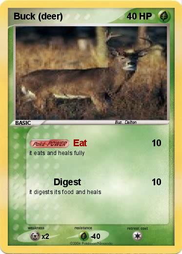 Pokemon Buck (deer)