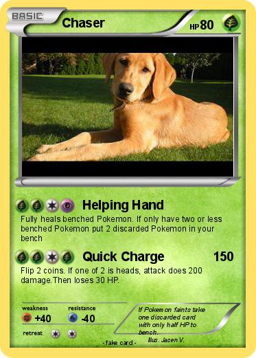 Pokemon Chaser