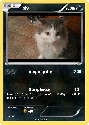 Pokemon isis