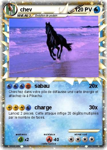 Pokemon chev