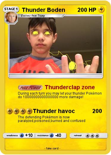 Pokemon Thunder Boden