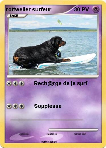 Pokemon rottweiler surfeur
