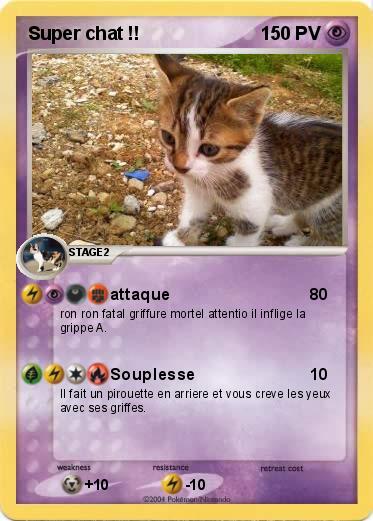 Pokemon Super chat !!