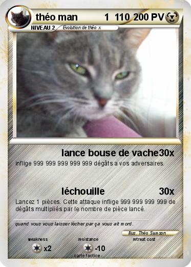 Pokemon théo man          1  110