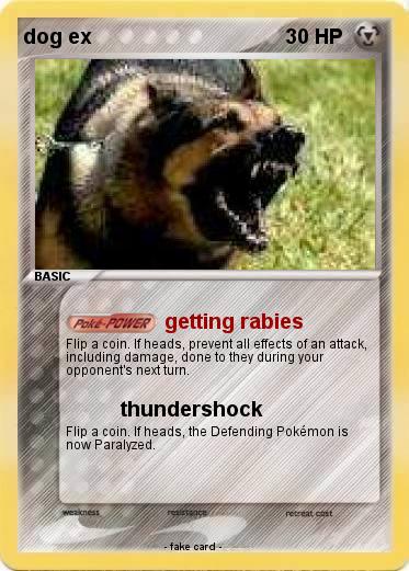 Pokemon dog ex