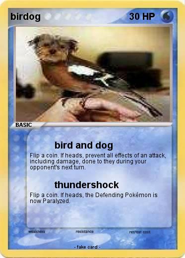 Pokemon birdog