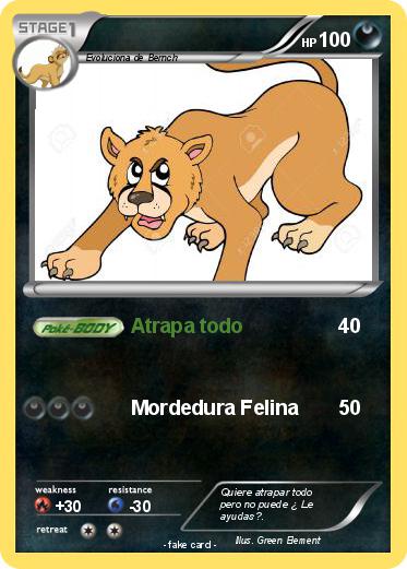 Pokemon 