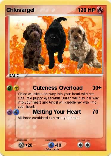Pokemon Chlosargel