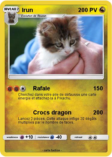 Pokemon Irun