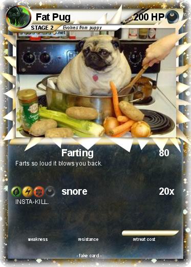 Pokemon Fat Pug