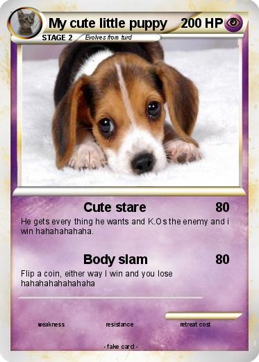 Pokemon My cute little puppy