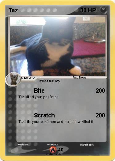 Pokemon Taz