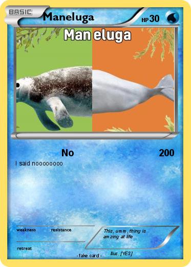 Pokemon Maneluga