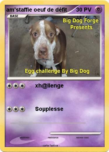 Pokemon am'staffie oeuf de défit