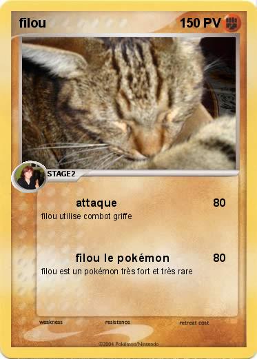 Pokemon filou
