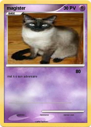 Pokemon magister