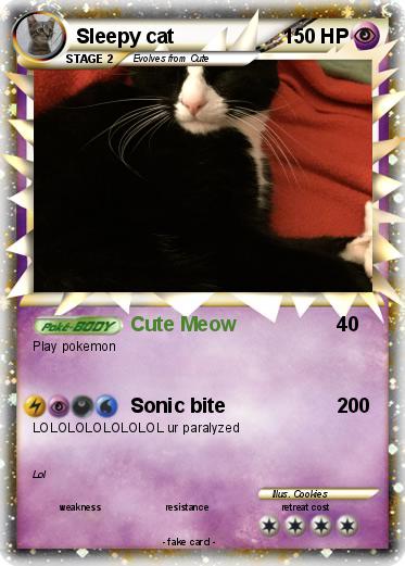 Pokemon Sleepy cat