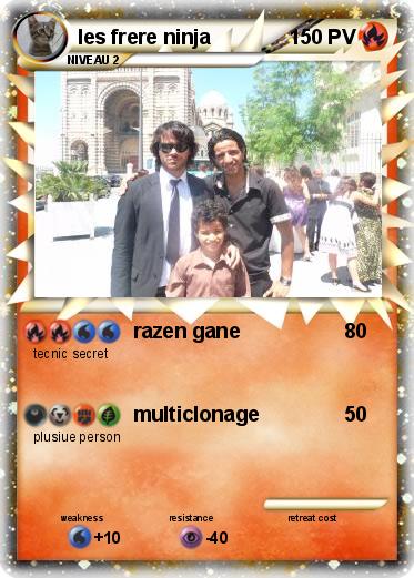 Pokemon les frere ninja