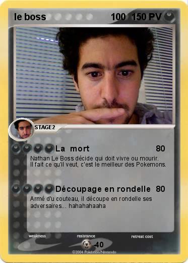 Pokemon le boss                         100     