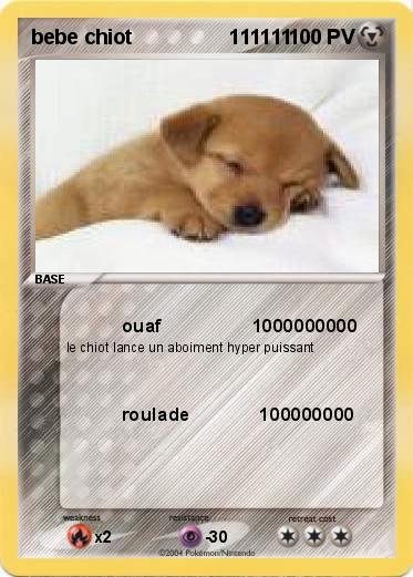 Pokemon bebe chiot                 111111
