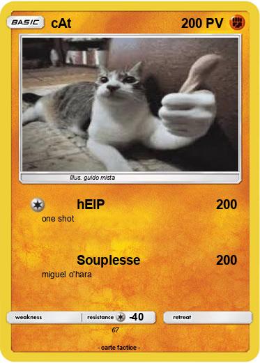 Pokemon cAt