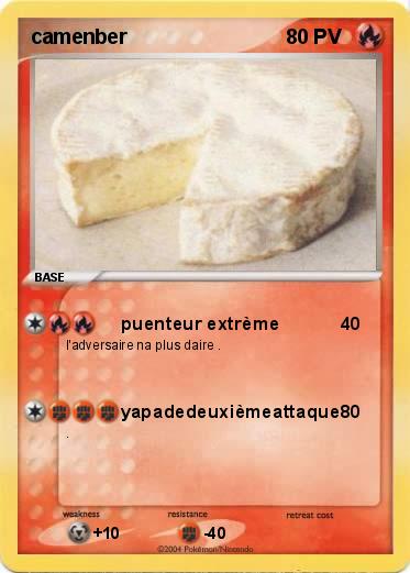 Pokemon camenber