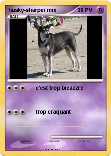 Pokemon husky-sharpeï mix