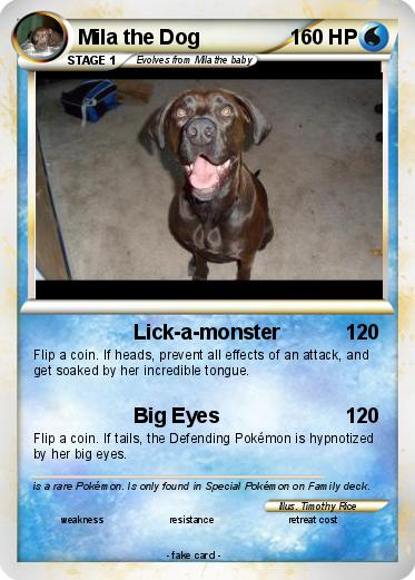 Pokemon Mila the Dog