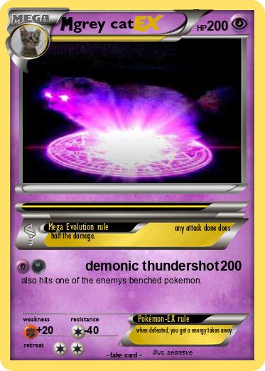 Pokemon grey cat