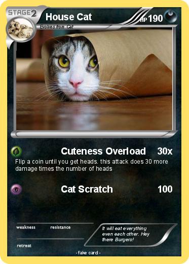 Pokemon House Cat