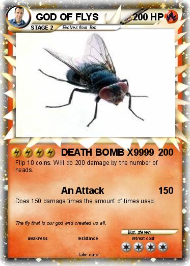 Pokemon GOD OF FLYS