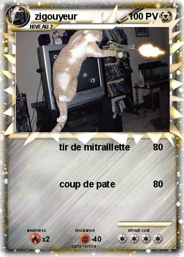 Pokemon zigouyeur