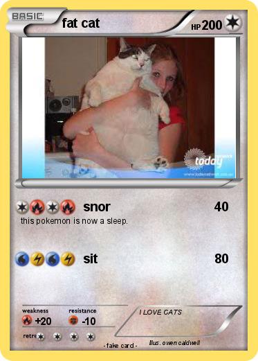 Pokemon fat cat