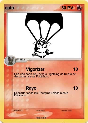 Pokemon gato