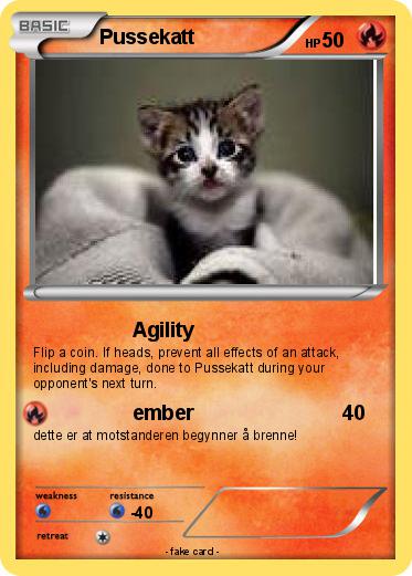 Pokemon Pussekatt
