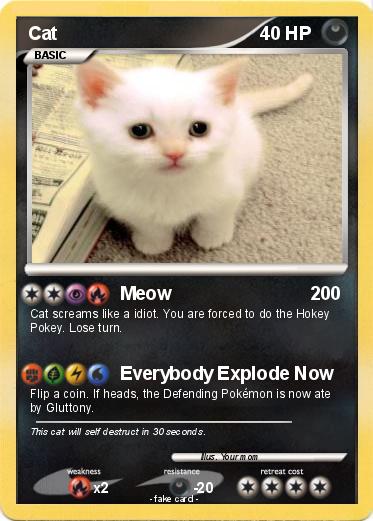 Pokemon Cat