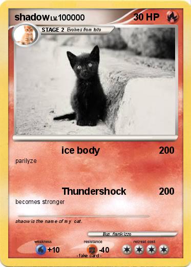 Pokemon shadow